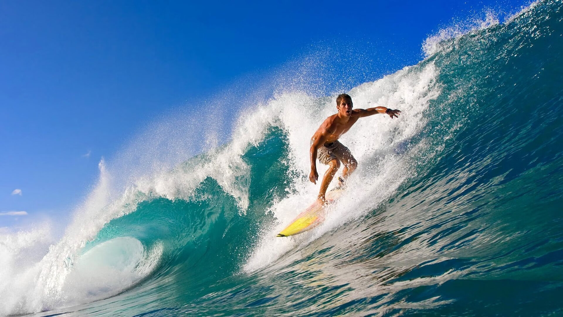 爱游戏在线-文班亚马用广东队丈量世界，当中国巨人成为NBA新王的试金石